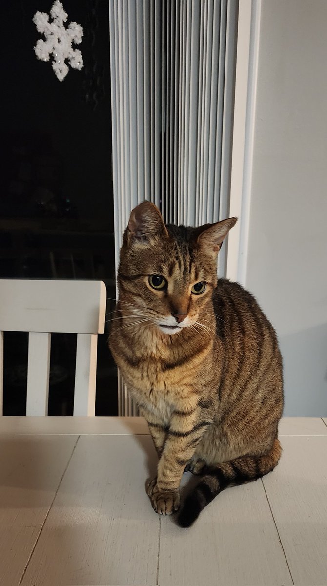 Kid Squiggy McGhee tweet media