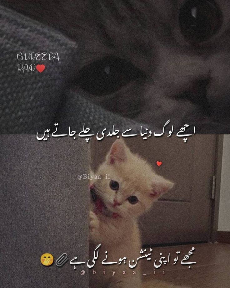 Hye kia hoga mera.... 😢🌺🌸
#BabarAzam𓃵 #ImranRiazKhan #IsraelHamasWar #Islamabad #HarisRauf #Terroristattack #ZamanKhan #ImranKhan #IStandWithBaloachistan #islamicquotes #hijab #WELCOMEBACKHamEza