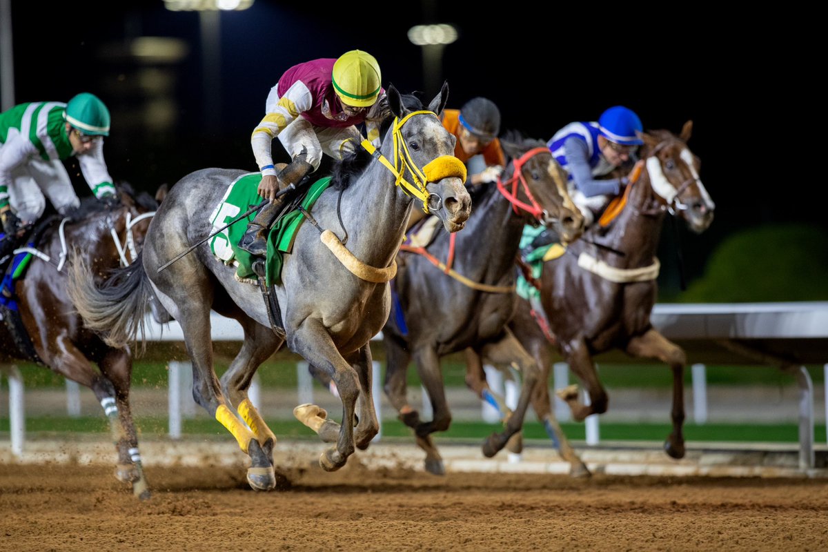 JockeyClub_SA's tweet photo. نتيجة الشوط الـ 10 الحفل ( 81 ) 

▫️الفائز : حذام
▫️المالك : ابراهيم مساعد ابراهيم المحياء
▫️المدرب : فهد الفهيد
▫️الخيال : محمد الدهام 
▫️المسافة : 1800م
▫️الزمن : 1:55.30

#نادي_سباقات_الخيل 🐎 https://t.co/byYowbdDf6
