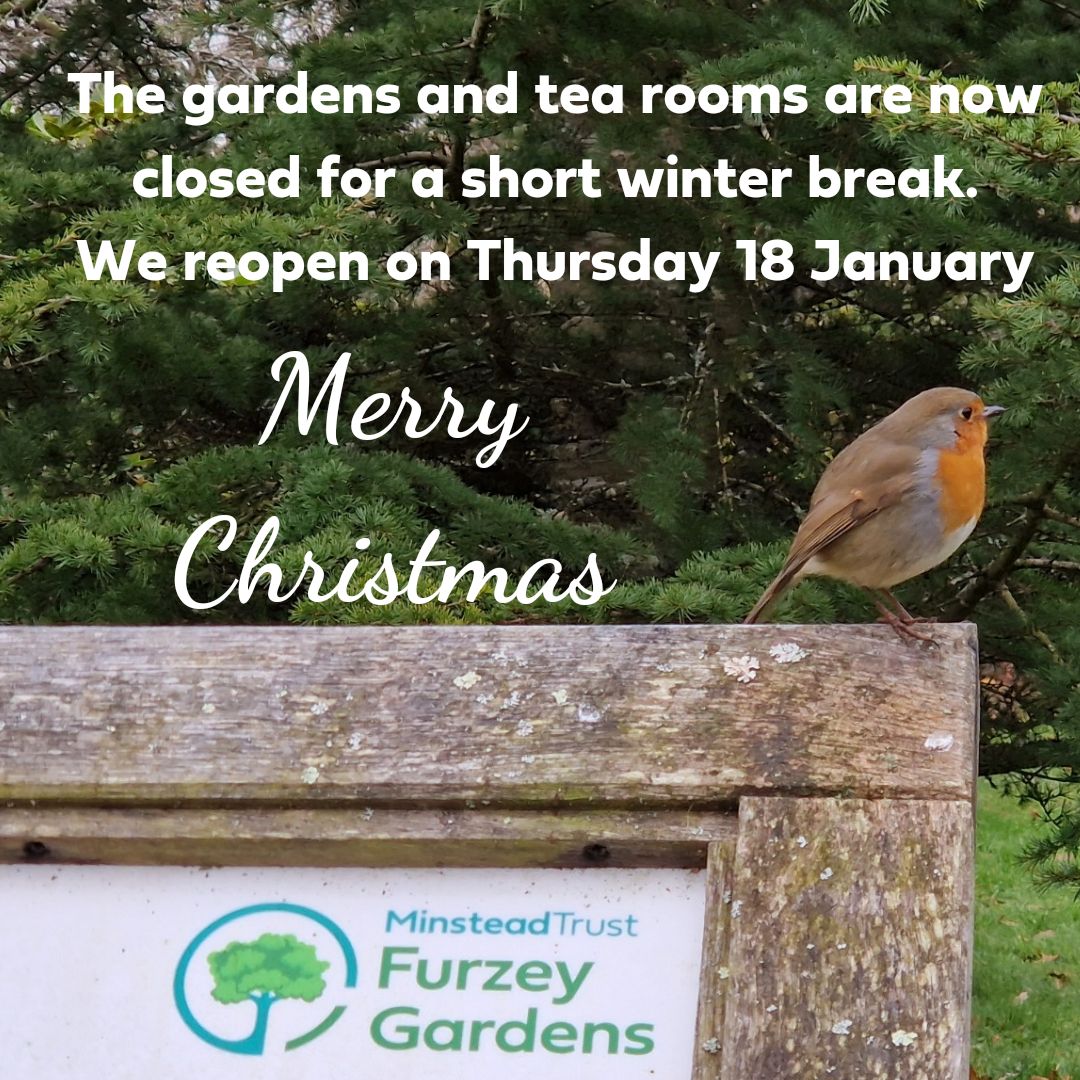 Thank you to everyone who has visited or supported us in 2023. The gardens and tea rooms are now closed for a short winter break.

We will reopen on Thursday 18 January.

Wishing you all a Merry Christmas from all the team at Furzey Gardens.
