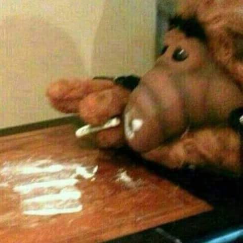 Georjus_'s tweet photo. @BFrog__ Mas duro que Alf no hay https://t.co/CvJyhTXry7
