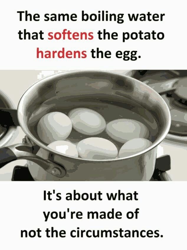 Art of Thinking (@art0fthinking) on Twitter photo 