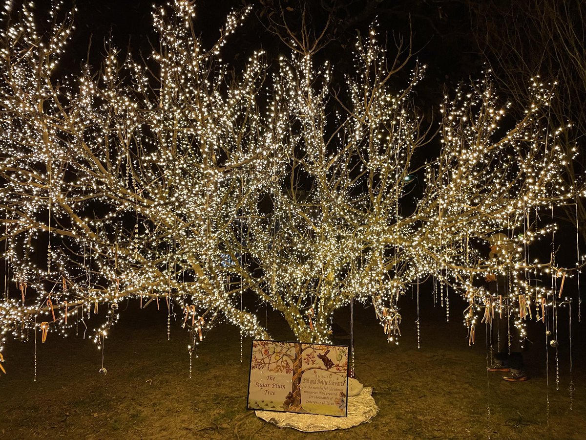 Team Dad tweet media