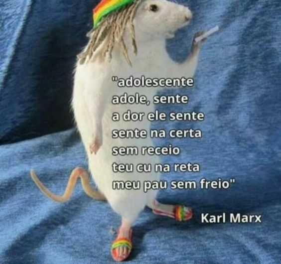 TerrorCotidiano's tweet photo. https://t.co/Tj65tNlo8Q