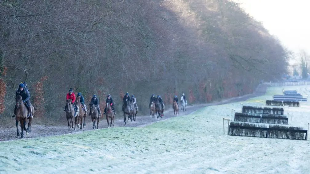 🎅 Wishing a very Merry Christmas to all of the stable staff working this festive period. 👏 It's a 24 hours a day, seven days a week, 365 days a year sort of job and you are the beating heart of the horse racing industry. 🤞 Here's to hoping all runners stay safe and sound...