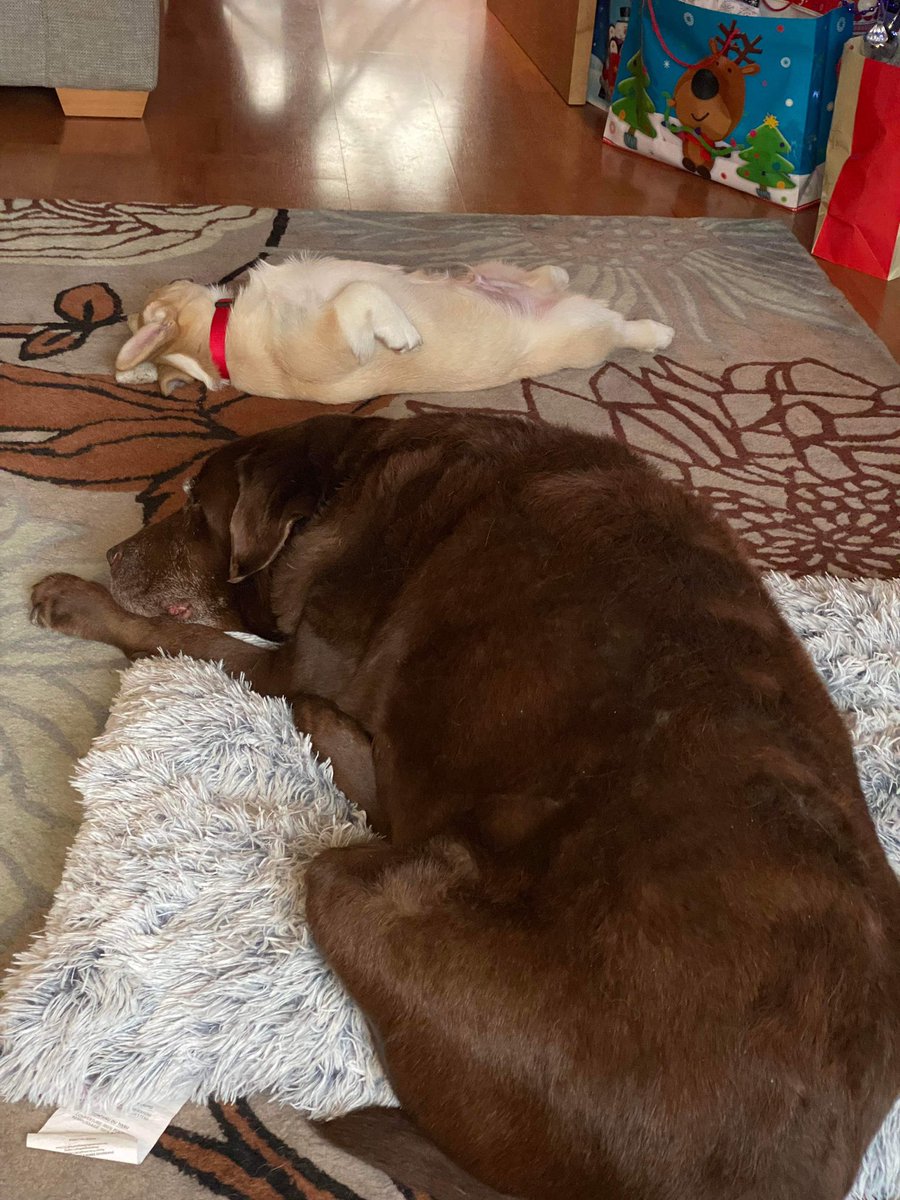 Sally Rivers tweet media