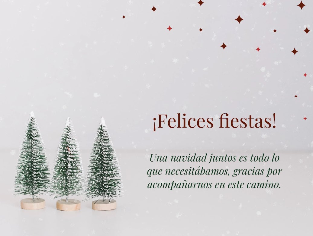 InstitutoIEPP's tweet photo. Desde el IEPP queremos agradecerles por este primer año de vida, sabiendo que el año que viene nos viene nuevos retos que esperamos compartir con vosotros. Feliz Navidad y Feliz año 2024! https://t.co/1iNR69WhoI