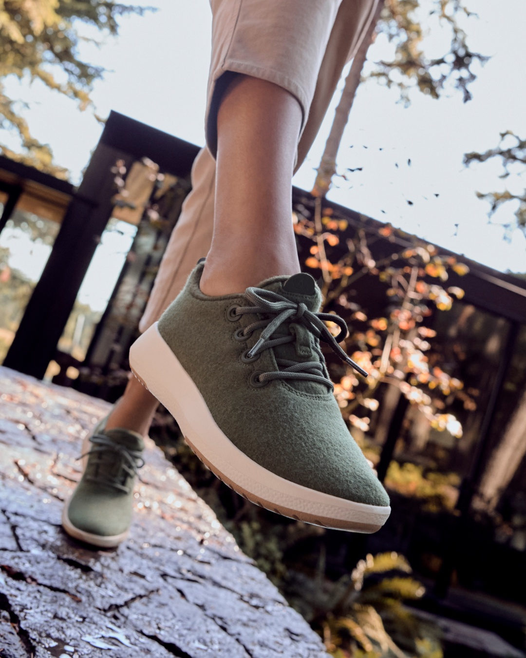Allbirds Allbirds X