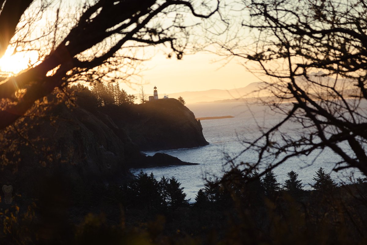 Luchtaine tweet media