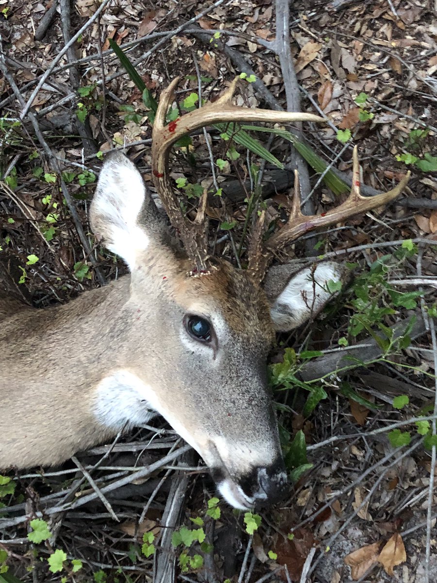 Darin Hinton tweet media