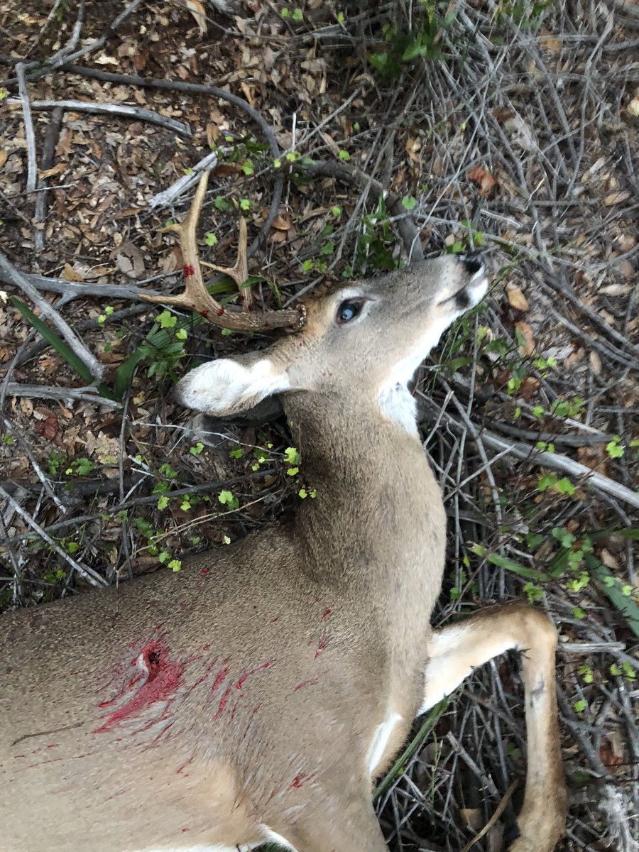 Darin Hinton tweet media