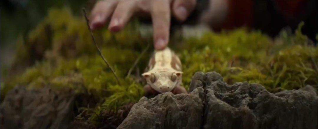 allonsology's tweet image. welcome to my account ˙✧˖°📷 ༘ ⋆｡°
જ⁀➴ allonsology.carrd.co