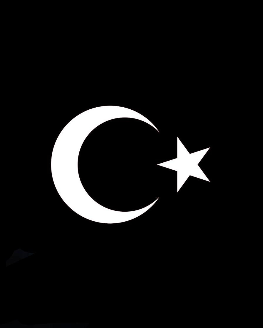 Son 24 saatte 12 vatan evladı toprağa düştü. Filistin için meydanlara yığılan herkesten bu vatanın öz evlatları için de aynı hassasiyeti bekliyoruz.