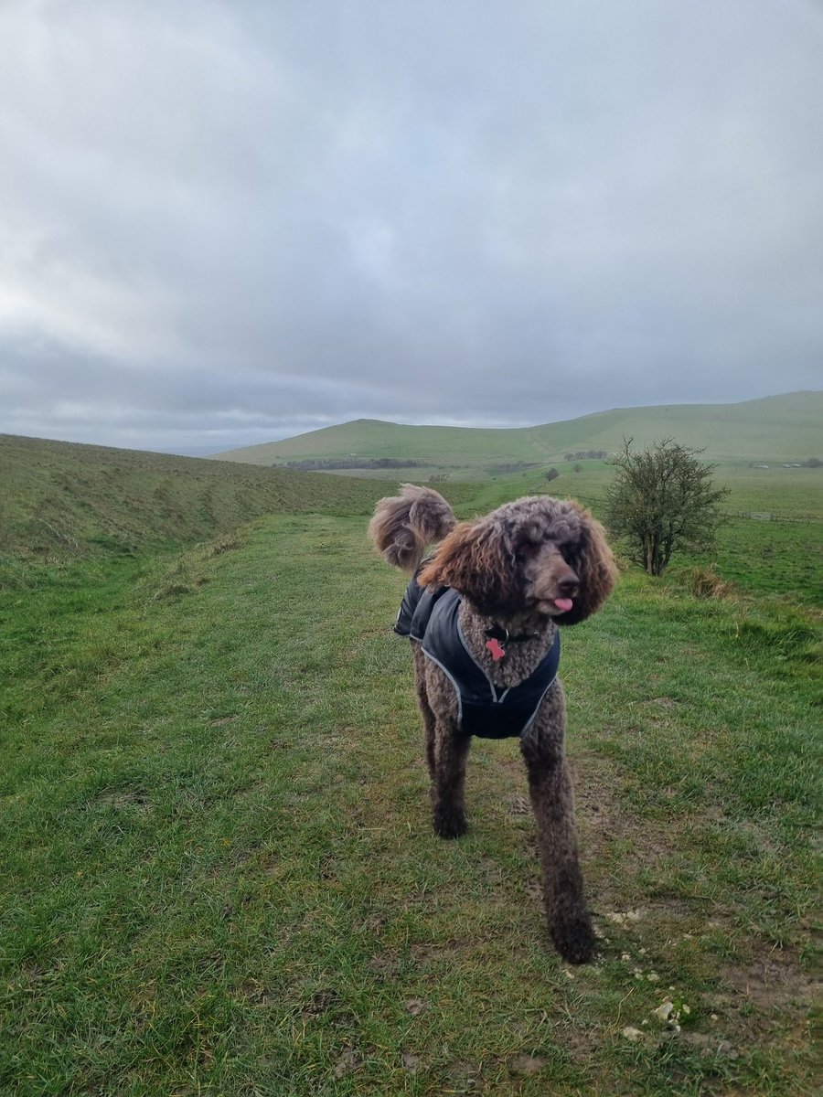 embessent's tweet photo. Spent my 27th as all birthdays should be spent: rampaging with my best pal https://t.co/nebNwvDcJB