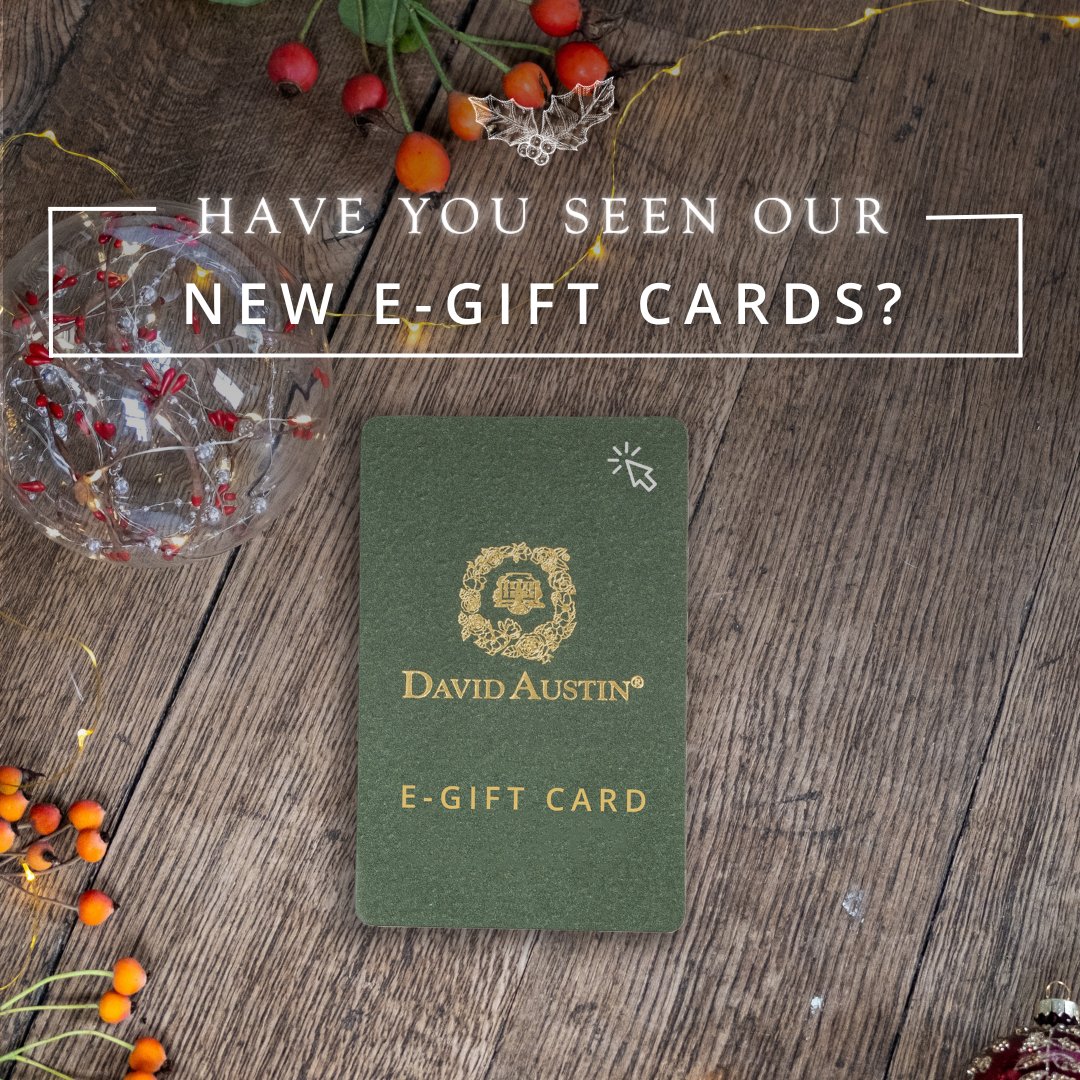 Our E-gift cards are a perfect solution for a last minute gift this Christmas. 🎀 Available in the UK, EU and US, our E-gift card will be delivered by email in minutes, making sending a thoughtful gift a breeze. Shop E-gift card here ➡️ bit.ly/47ncl80