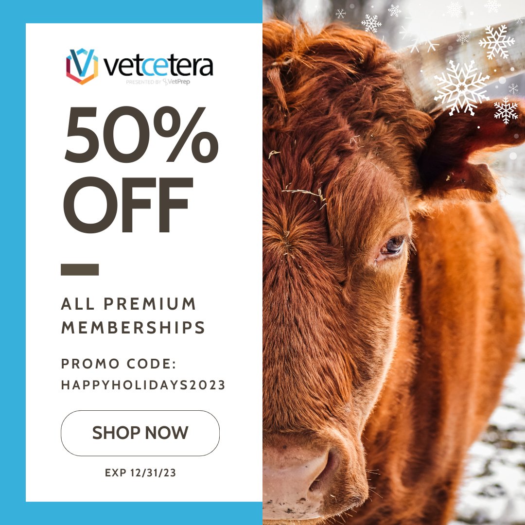 Vetcetera tweet media