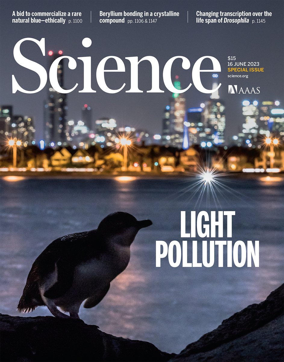 The widespread deployment of outdoor electric lighting means that the night is no longer dark for most people.

Earlier this year, a special issue of Science examined the effects of #LightPollution on the natural world, human health, and the night sky. scim.ag/5iP