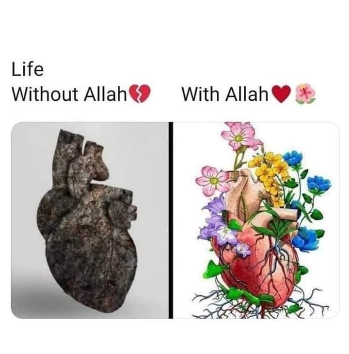 laiba252403's tweet photo. In the whispers of the heart, find the serenity that comes from remembering Allah💕.
#HeartfeltConnection #AllahinHeart #DivineGuidance #Heartfulworship https://t.co/lWT5Dc9ECj