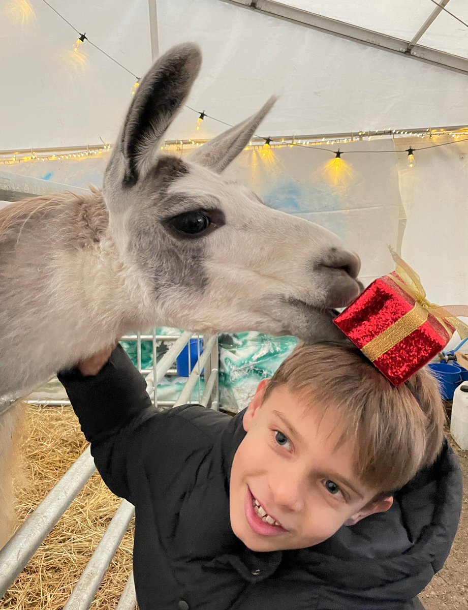 studant47's tweet photo. #CedarFarm #FishersMobileFarm #Mawdesley #Lancs #magical #reindeer #Christmas #fun #family #lucky #SwedesOnTour https://t.co/b4ehLhAv0V