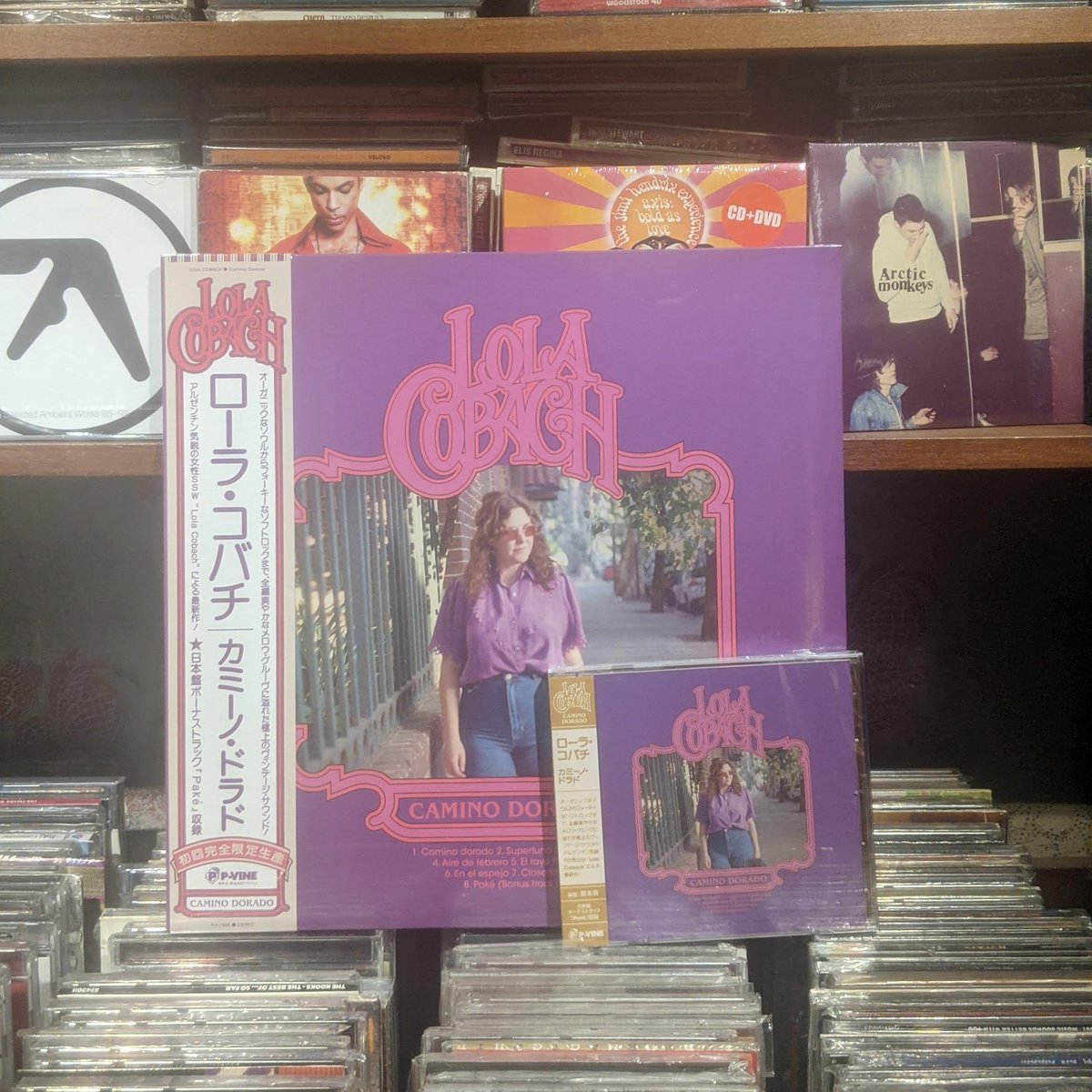 Lola Cobach tweet media