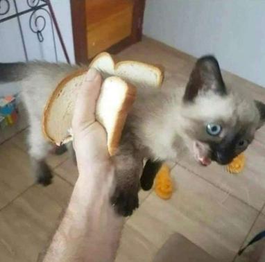 hell__mommy's tweet photo. @Dust_Sans00 — comida si, chiste ya no tanto... https://t.co/WD7Z1uYTrR