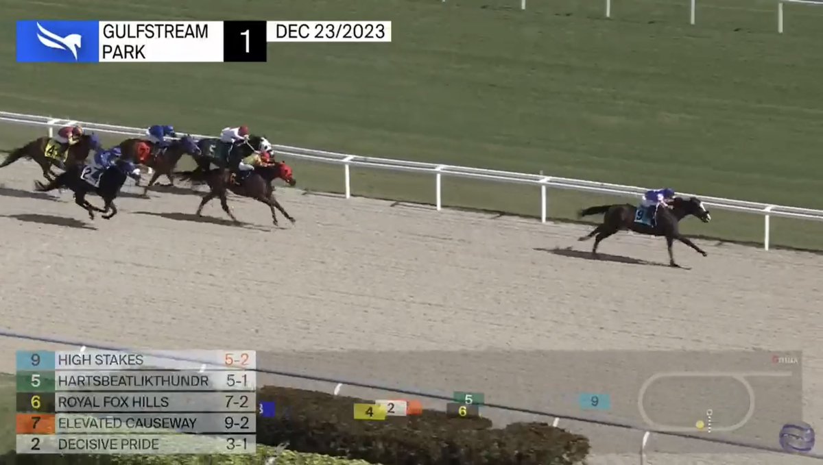 Keri145's tweet photo. High Stakes gets us our first winner at @GulfstreamPark for the winter…welcome back to the ☀️ state @jjcjockey and thank you for the fabulous ride! Congrats and thank you to owners Steinmetz Equine Holdings and well done to the FL team! 🏆 @SonnyBumpkins @mell_boucher https://t.co/GIzc1FaQbJ