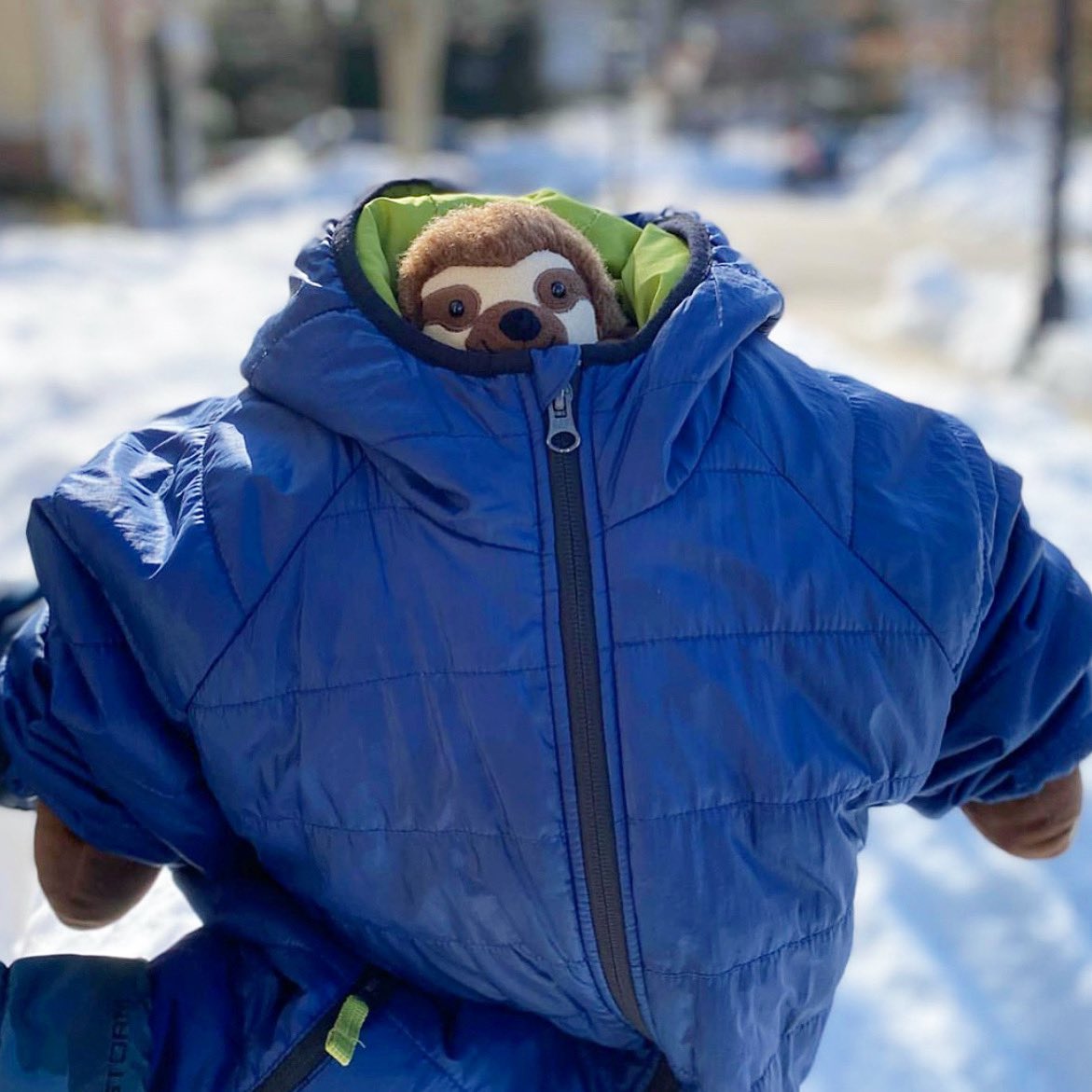 🦥 Heep is bundled up to take a long walk in the snow. For Heep, a long walk is to the mailbox and back. Hopefully, he paces himself.