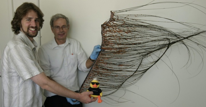 An oldie but a goodie! My academic mentor, Dennis Opresko, holding a GIANT #BlackCoral at the 4th International Symposium on Deep-Sea Corals in Wellington, New Zealand (2008). Ducky was Scott France's lab mascot at @ULLafayette. @niwa_nz @DSBSoc