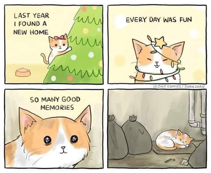 Orangeinbelgium tweet media