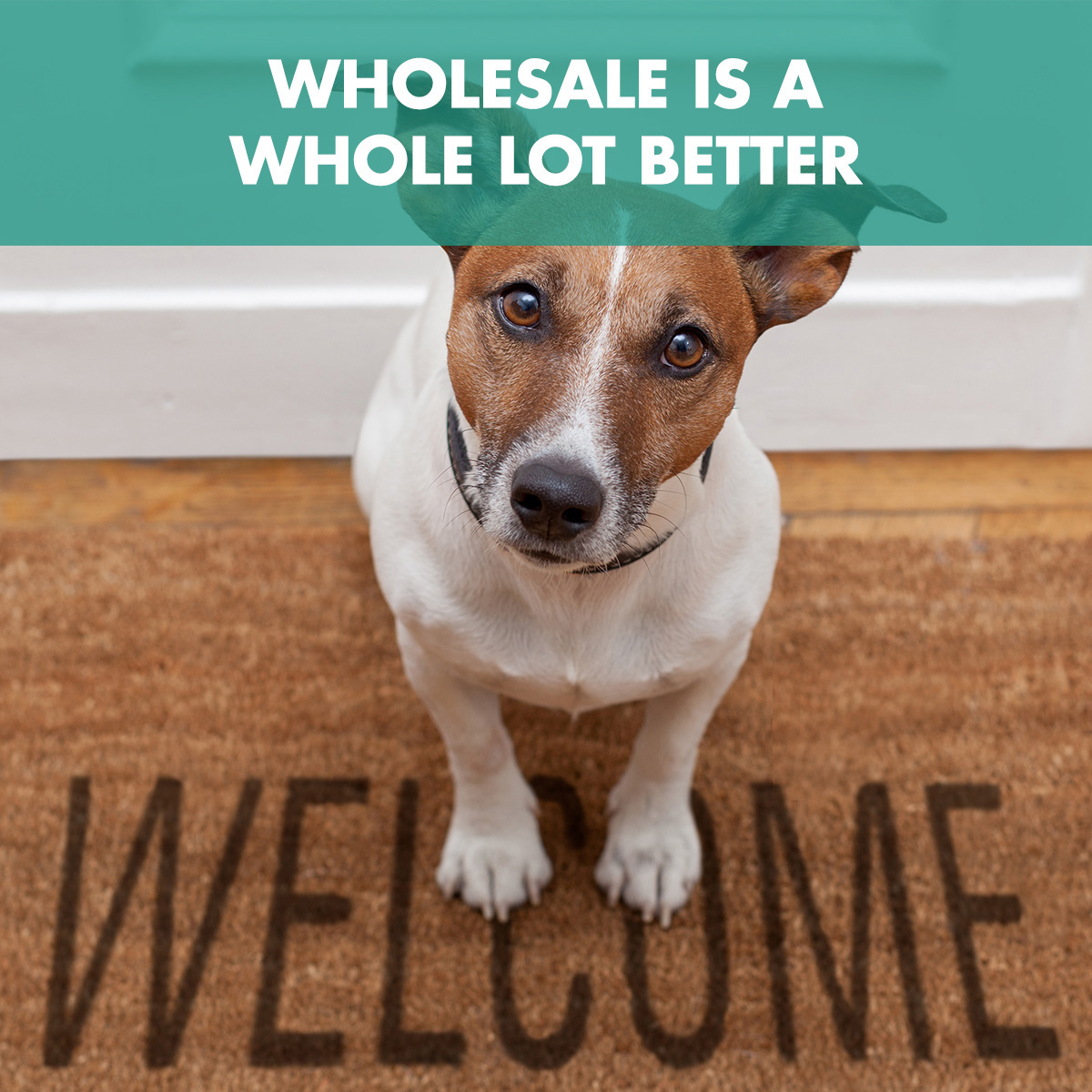 teamklebaum's tweet photo. Retail lenders and banks offer fewer options! Independent mortgage brokers like us are able to partner with multiple lenders to find you great loans and rates. https://t.co/qJ0KKRumw7
