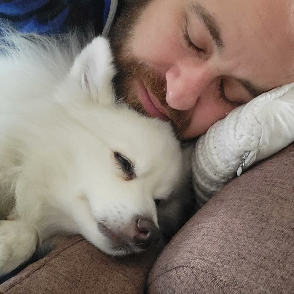 sktrvan2's tweet photo. Holiday times can be extra stressful, I hope you can take a few moments to nourish your self.
I'm snuggling with my dog Sushi for a few minutes before getting back to the chaos of demands and sensory overload.
#dog #DoSomething #TransJoy #NonBinaryJoy #QueerJoy #AutisticJoy https://t.co/qh89liE2YB