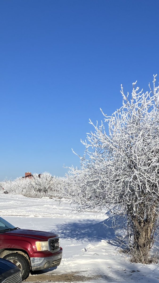 KJRaisbeck's tweet photo. It’s looking like a white Christmas ! https://t.co/rt90jlkkBK