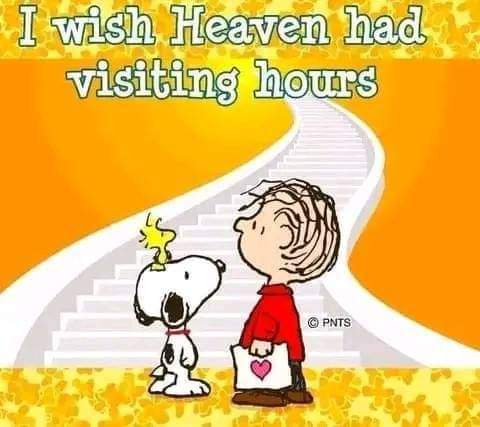 LindaDFrank1's tweet photo. @michaeldamian1 @sherylunderwood #YR #GH #BB @bouncetv #WeAreTheWorld There Are Some Who've Preceded Us To The #AfterLife. We'll Forever Love Them, As We Miss Their Smiling Faces, Kisses And Sweet Embraces! #FlyHighWithTheAngels! Someday, We'll See You Again! #LoveEternal! πππ₯° https://t.co/LMBM3olgUC