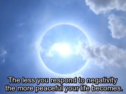 SeerTheDreamerPokemon tweet media