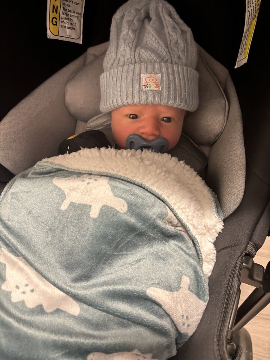 spiltxcoco's tweet photo. meet arlo https://t.co/ziaArrHNS2