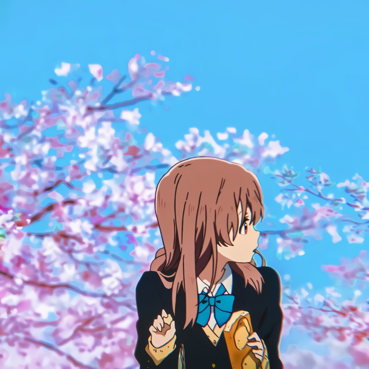 animevisuals's tweet photo. Anime : A Silent Voice https://t.co/qHcE5AsrPC