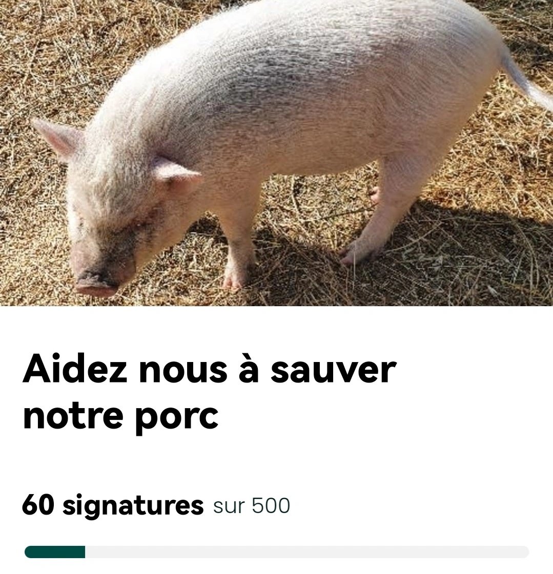 Saloupe rit tweet media