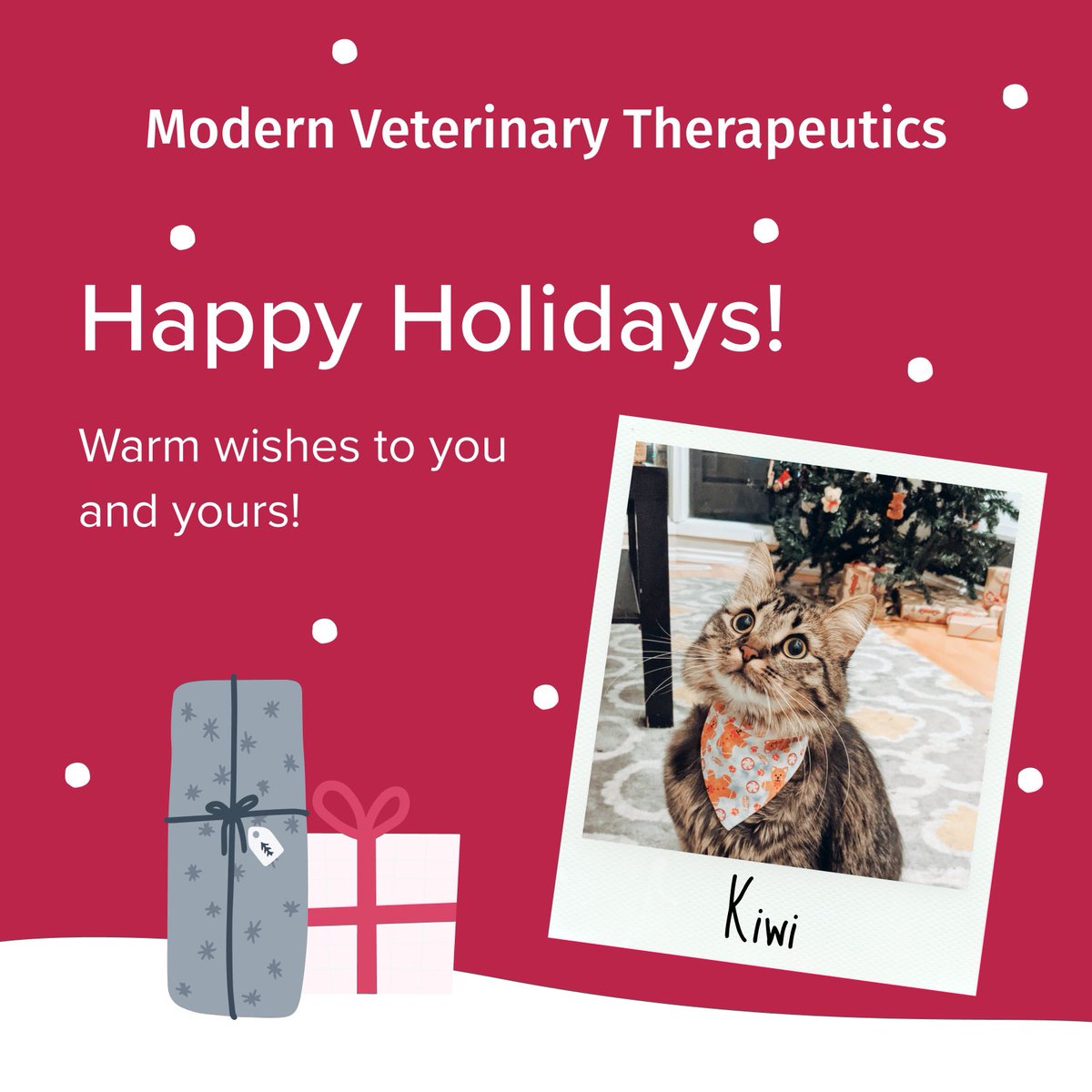 Modern_Vet's tweet photo. Spreading holiday cheer with the cutest customer-submitted Christmas pet photo! Our hearts are melting at the adorable festive vibes Kiwi is bringing. Wishing you and your pets all the joy, magic, and wonder of the holiday season! #happyholidays https://t.co/qb47aRsR7U