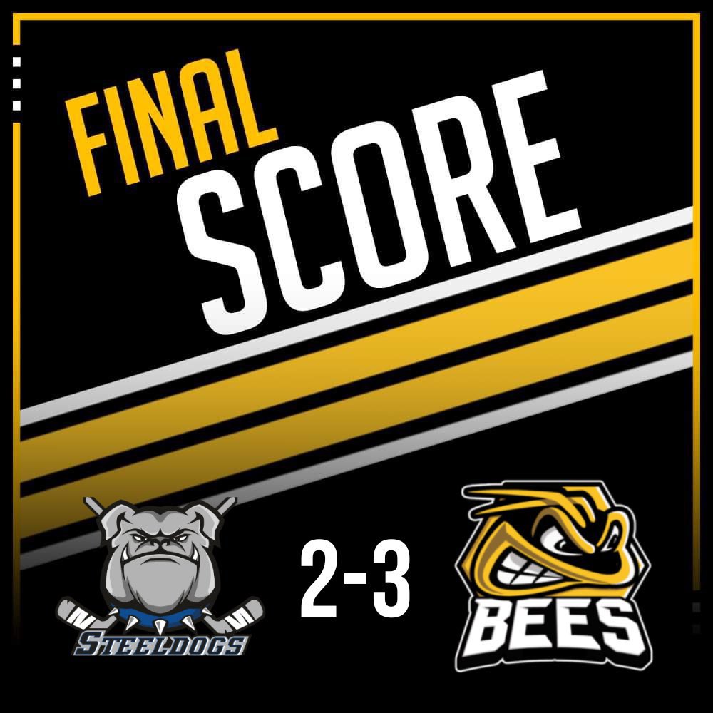 TSI World Berkshire Bees tweet media