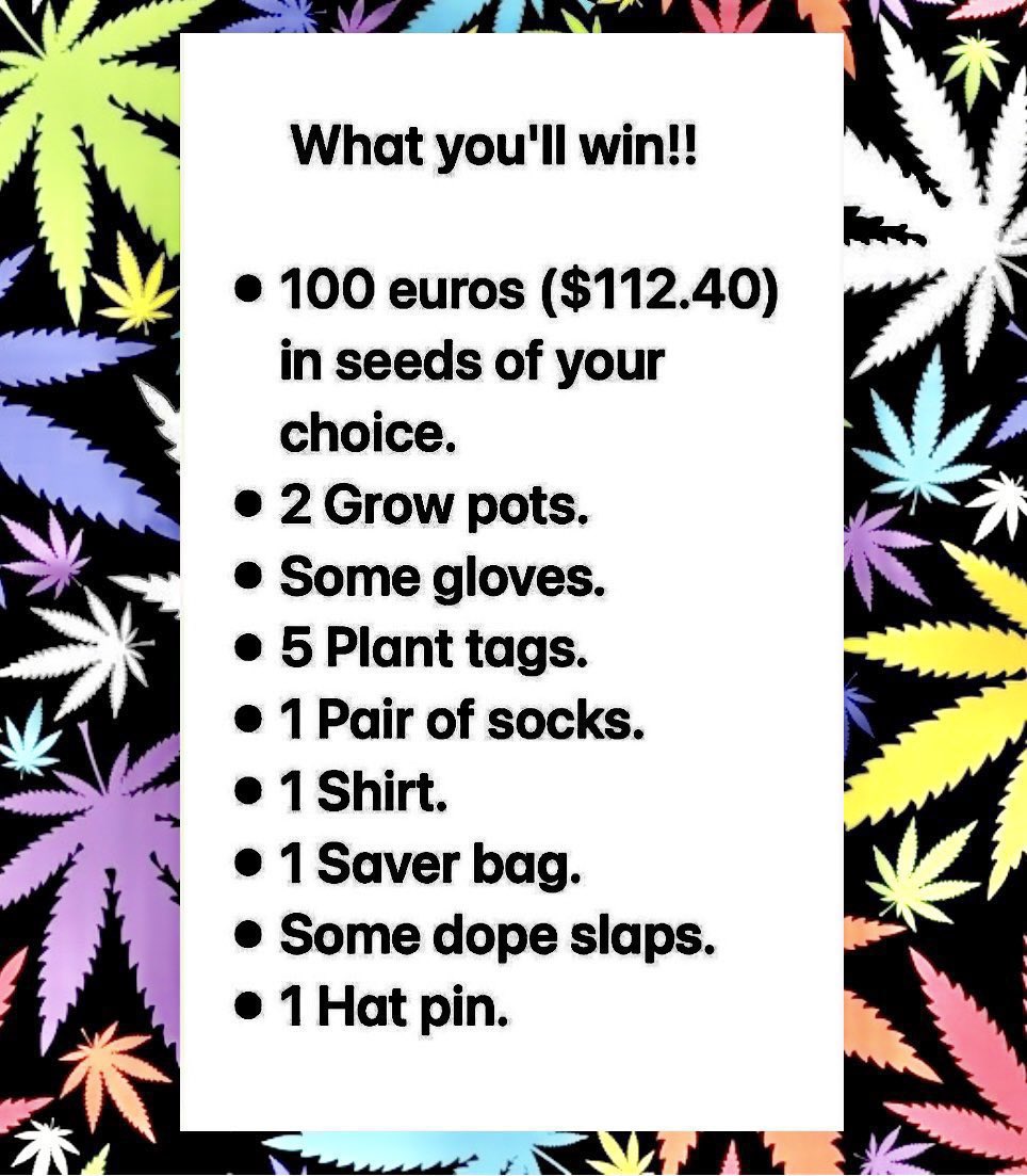 🚨📢🚨 Giveaway time!! 🚨📢🚨

👉 Follow me

👉 Follow <a href="/Fast_Buds/">Fast Buds</a> 

👉 RT

👉 ❤️

👉Tag 3+ ppl

1 winner announced 12/26