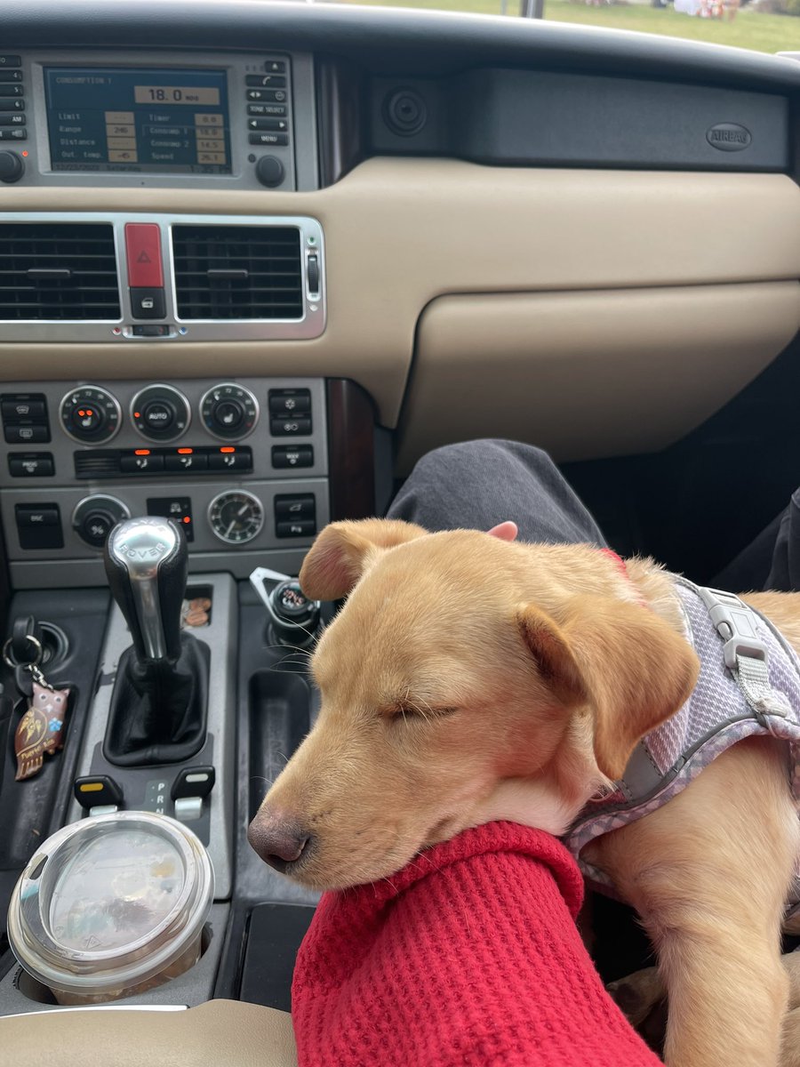 MackenzieShay's tweet photo. @slamcheddy I got a sleepy one you can look at! https://t.co/yzx1RyaF6Q