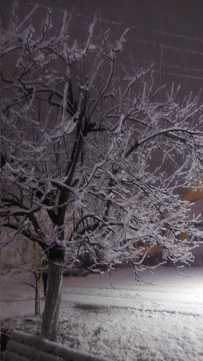 Winter on my childhood street. Happy Christmas!