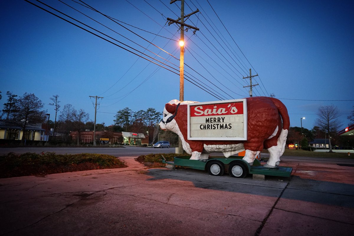 its_DIZZI's tweet photo. Merry Christmas from 
Mandeville, Louisiana. https://t.co/3QpxtQGu0r