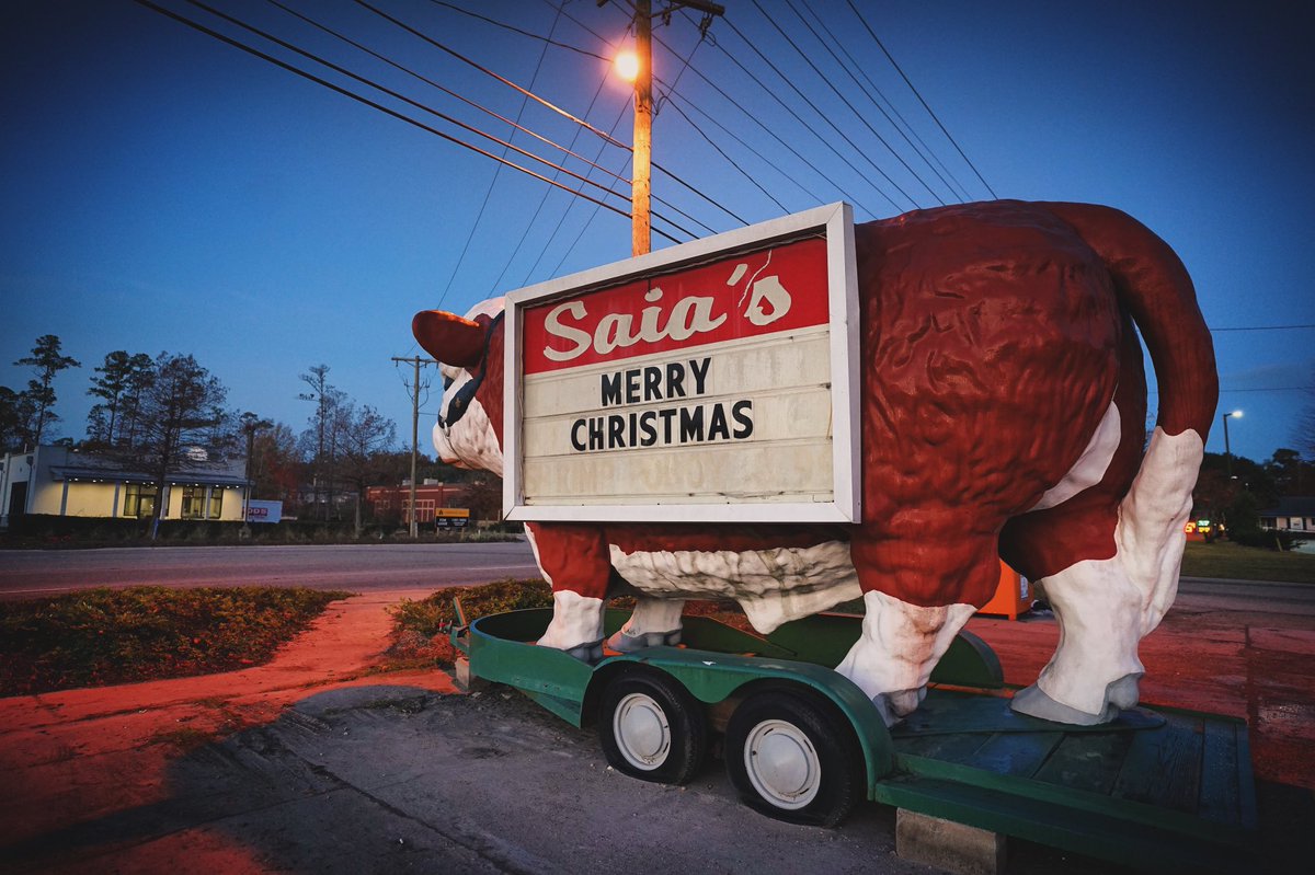 its_DIZZI's tweet photo. Merry Christmas from 
Mandeville, Louisiana. https://t.co/3QpxtQGu0r