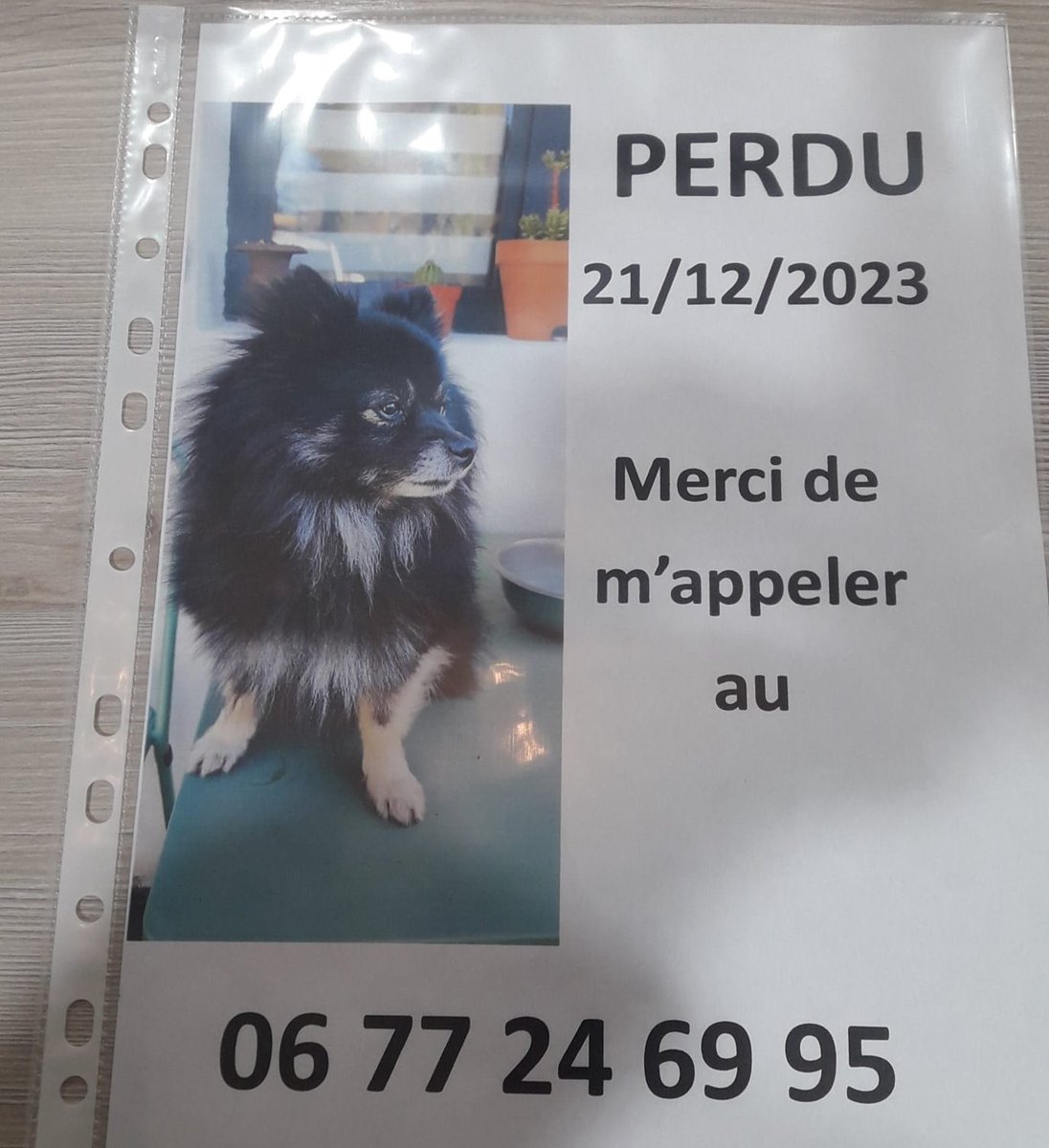 Marie Mainville tweet media