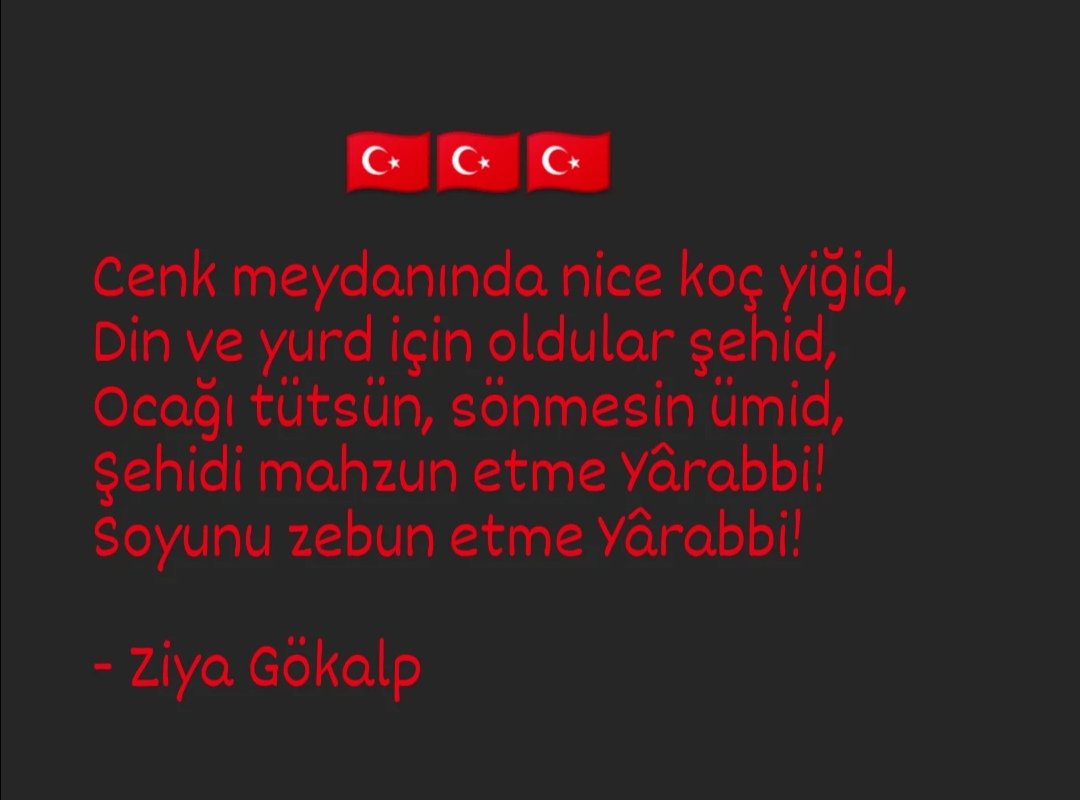 Şehidlerimize rahmet, kederli ailelerine sabır diliyorum. Milletimizin başı sağ olsun.