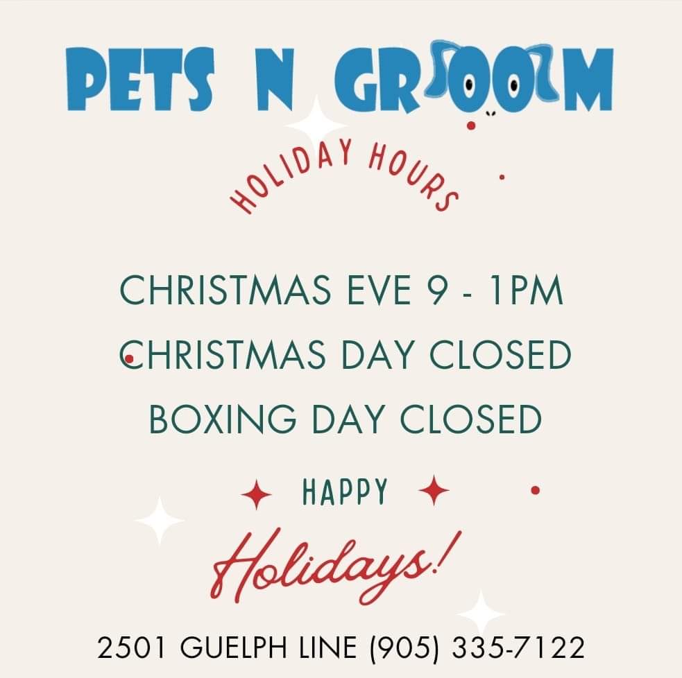 petsngroom's tweet photo. https://t.co/ya0izVz7BZ