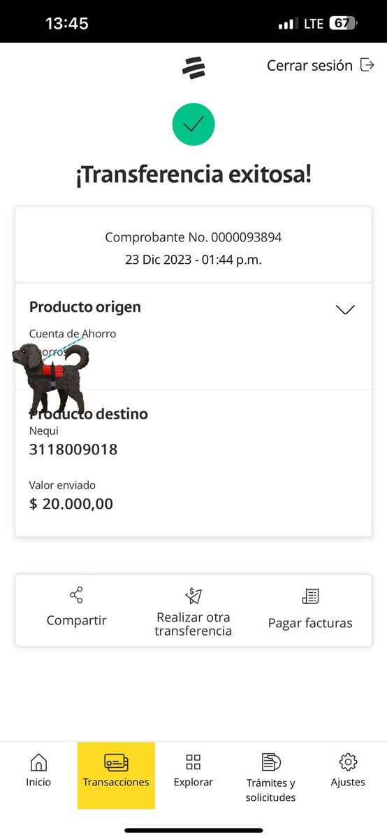 Rocío tweet media