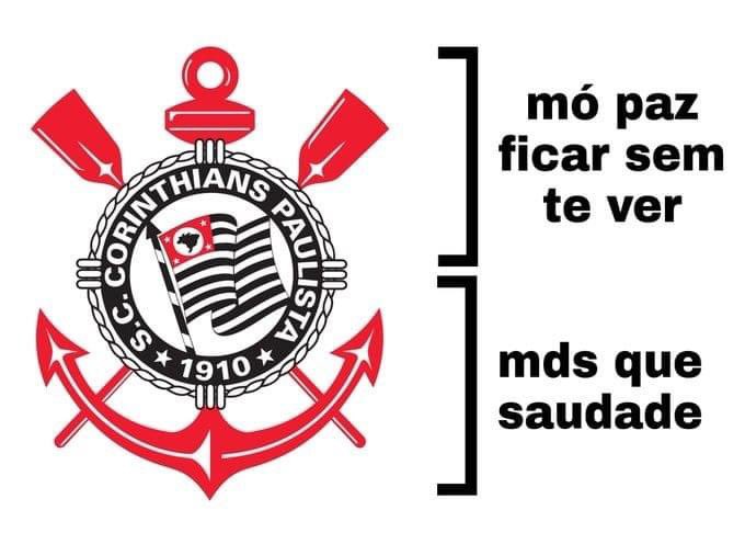 SCCPA͞nne tweet media