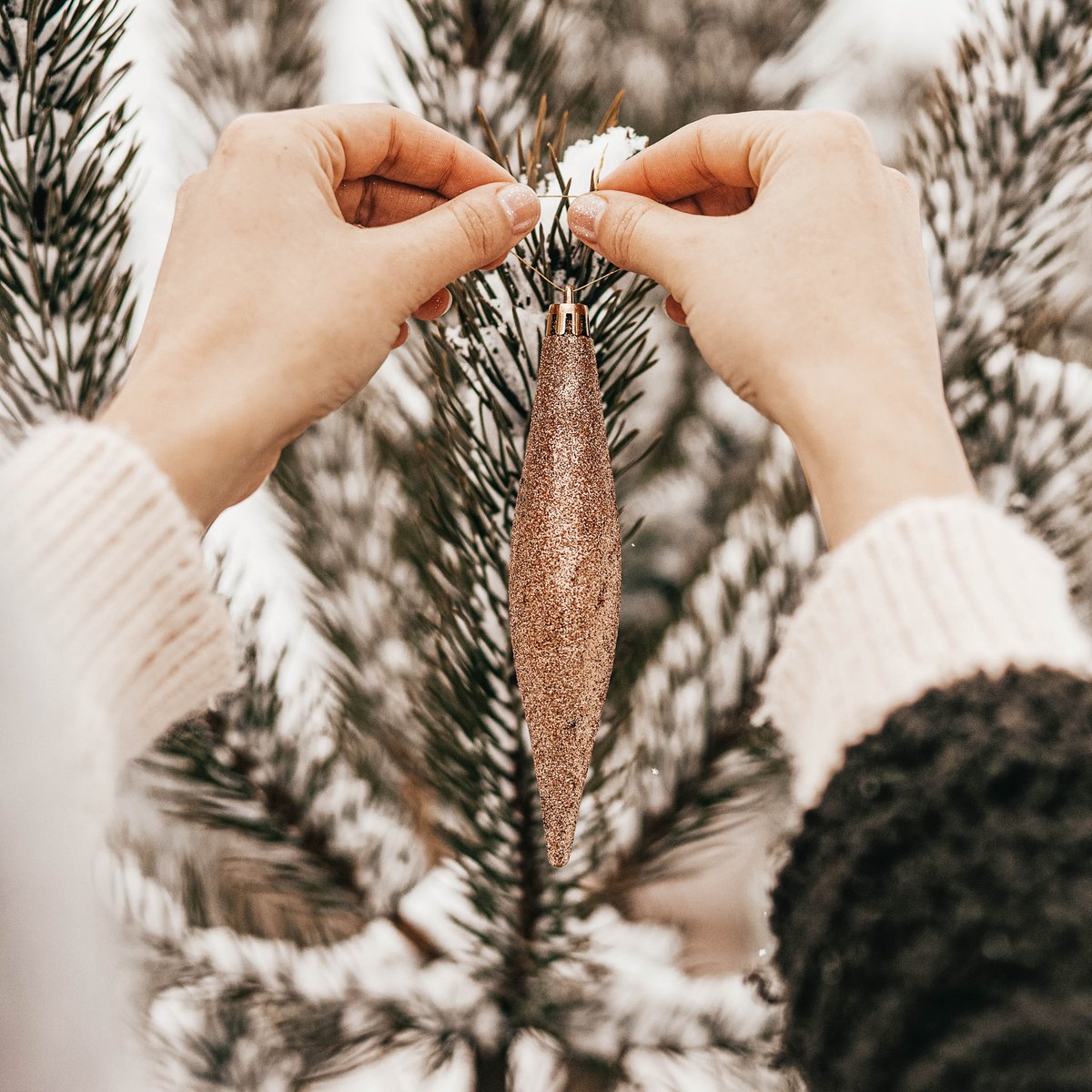 Windsor Vineyards tweet media